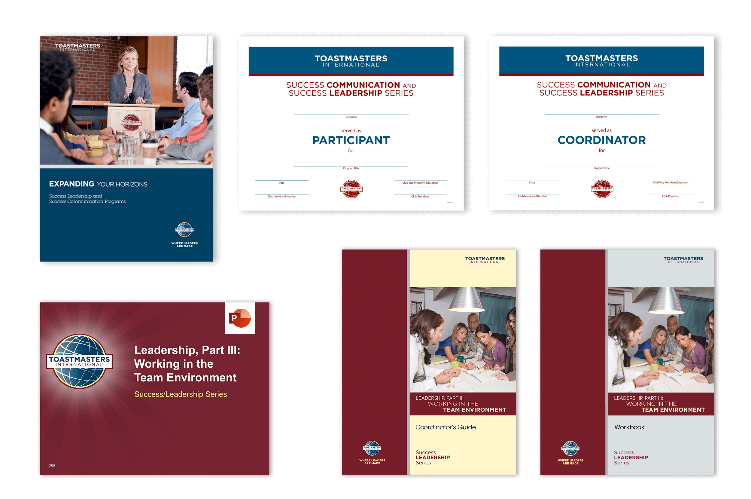 Leadership, Part III: Working in the Team Environment