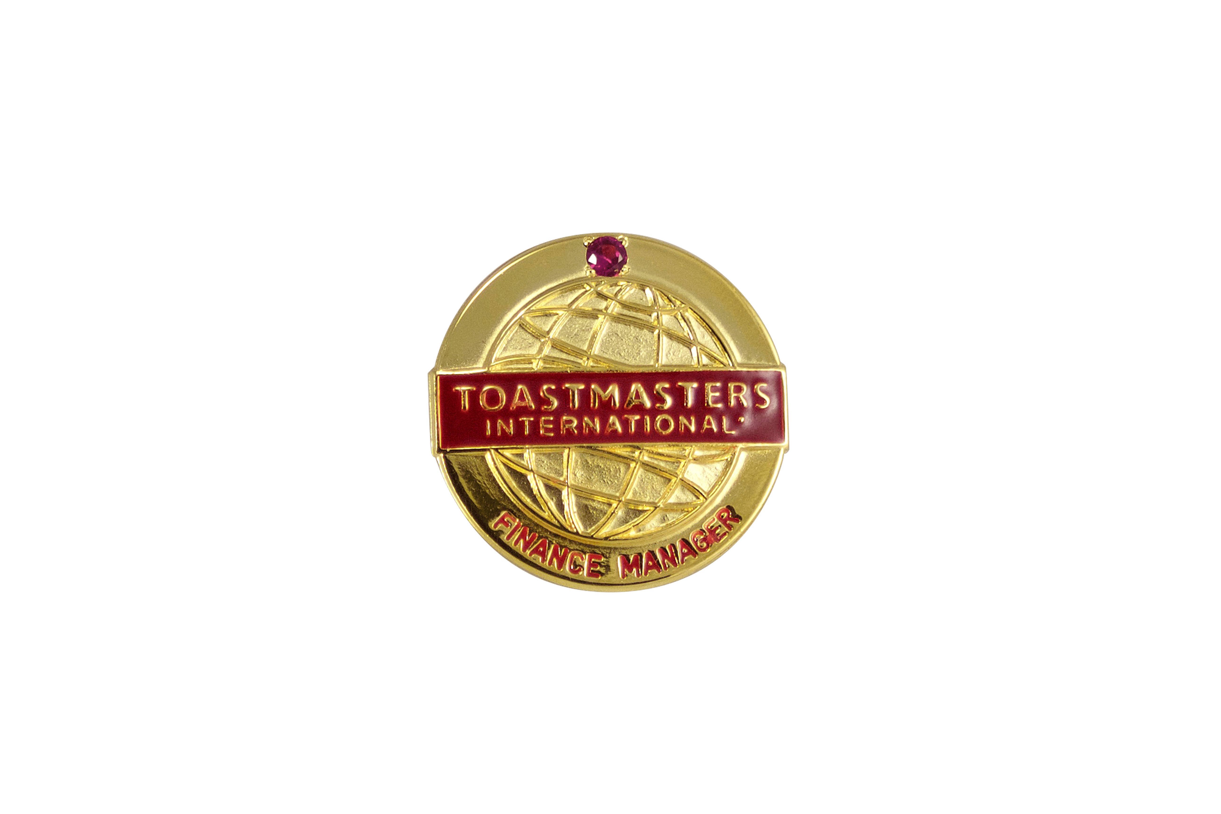 Finance Manager Pin (with stone)
