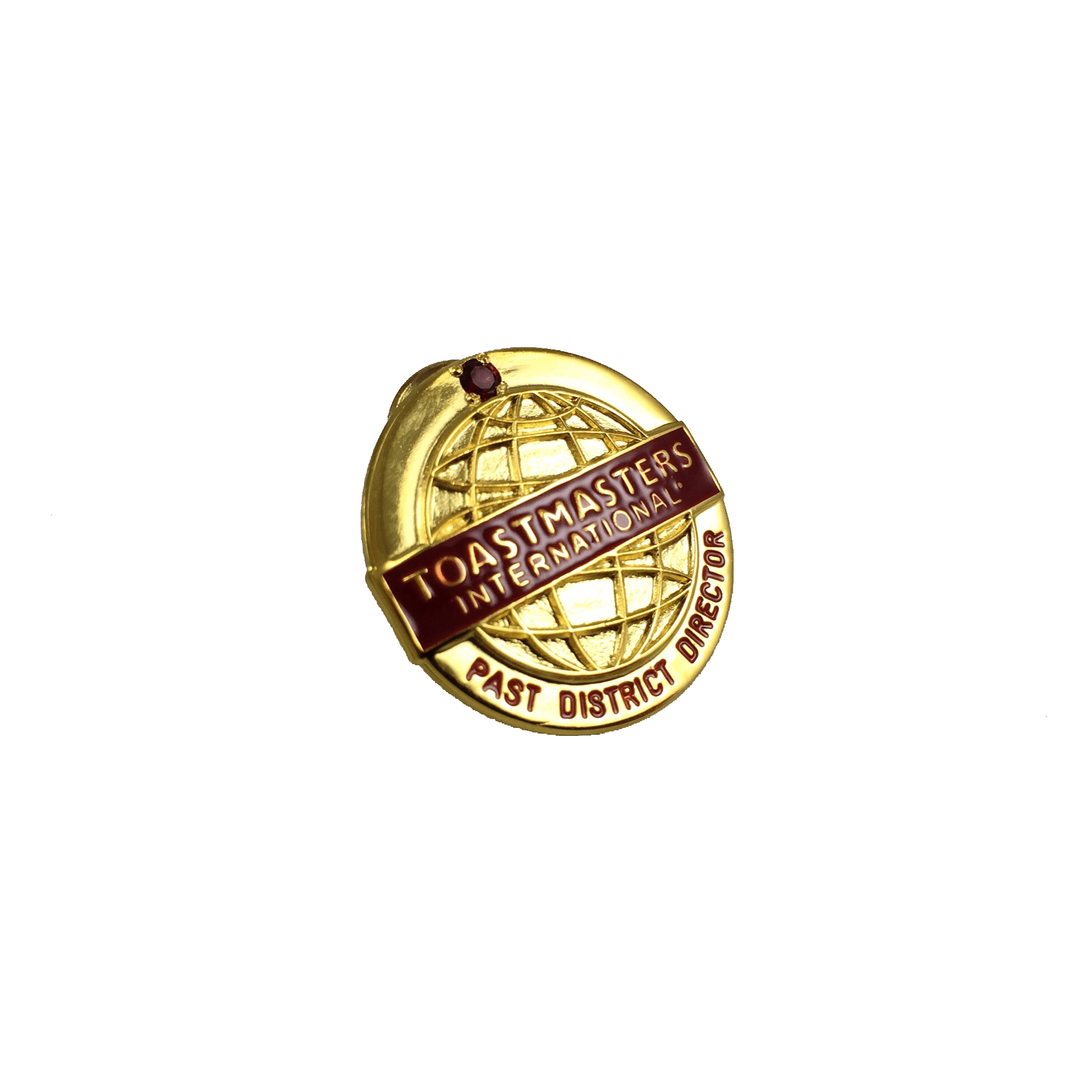 Past District Director Pin (with stone)