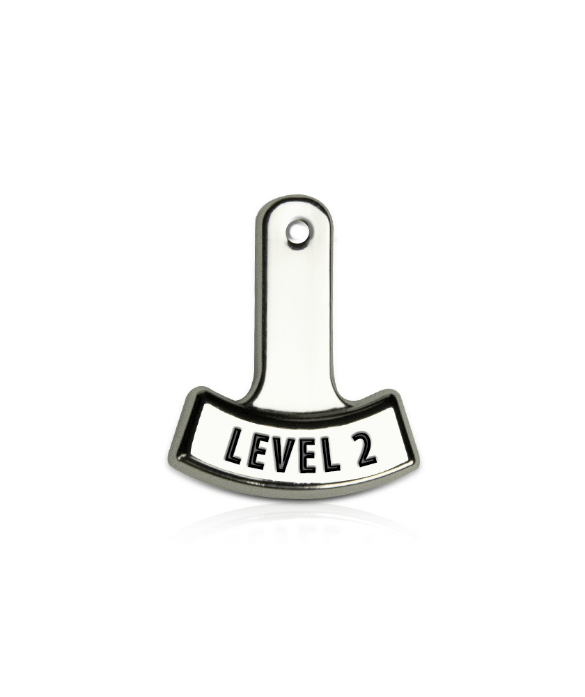 Level 2 Tag
