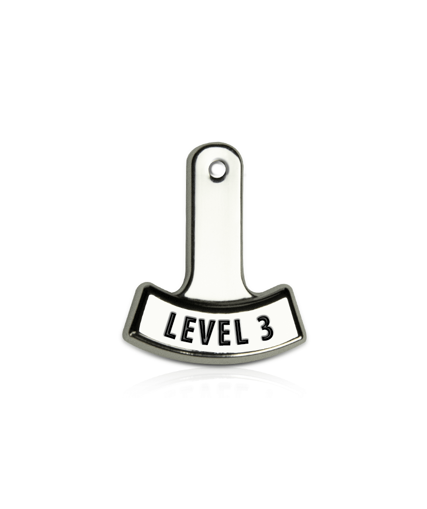 Level 3 Tag