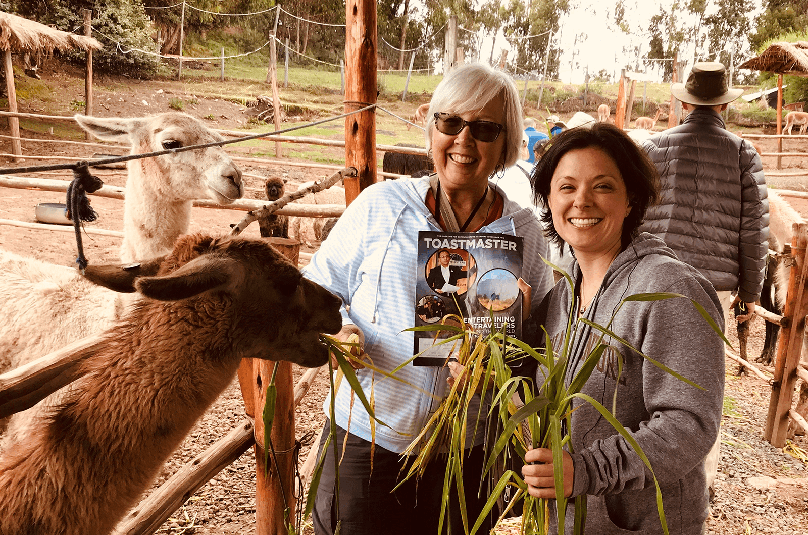 Jennifer Czapla of Amherst, New York, and her aunt Gail Marsh, DTM, of Gambrills, Maryland, feed alpacas in Cusco, Peru.